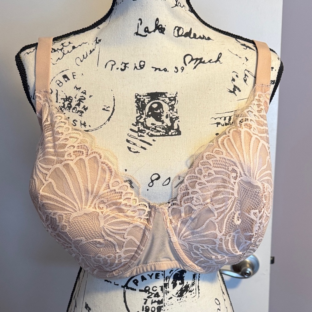 Paramour Lace Underwire Bra in Blush 42G